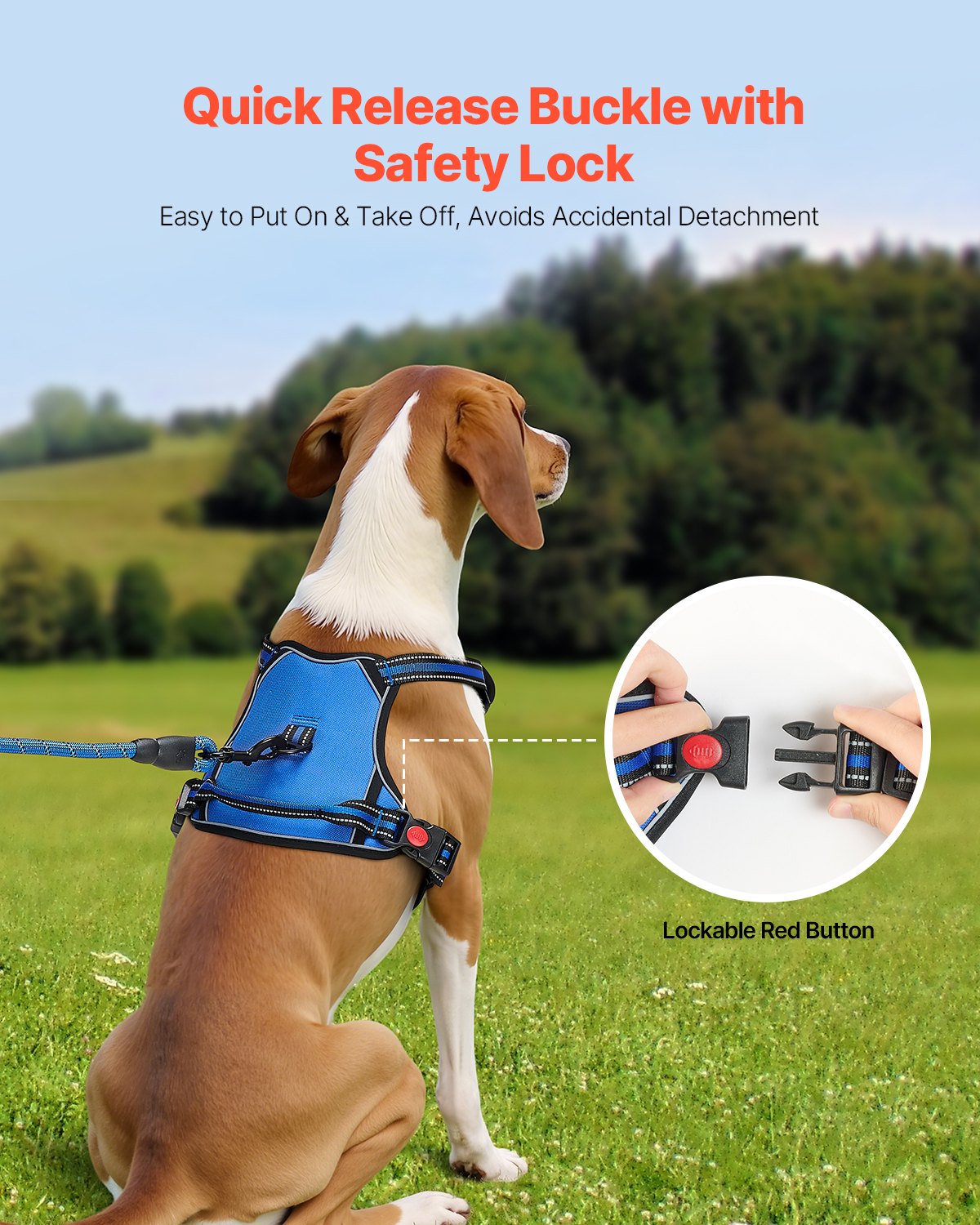 Large dog harness, with 5ft leash – alternate view