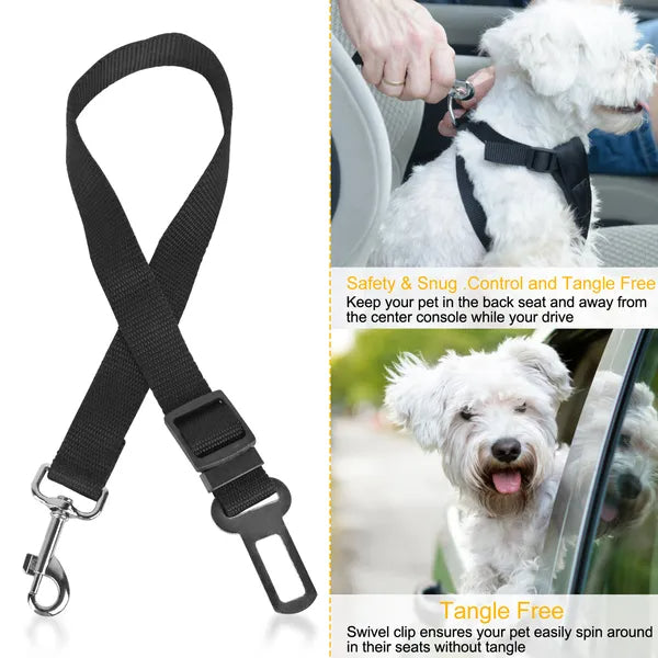 Pet seat belt leash 2-pack – alternate view