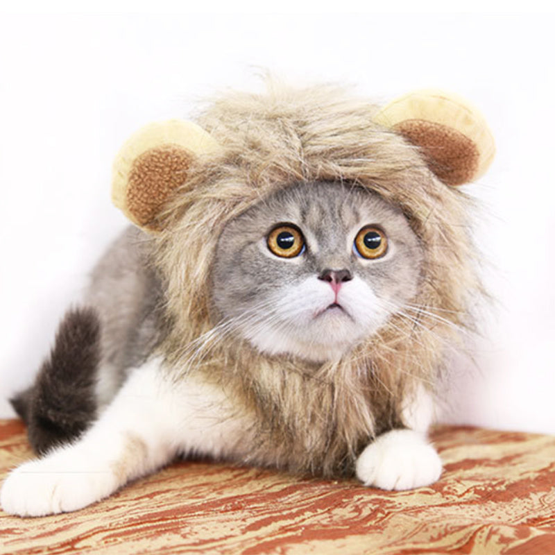 Lion mane costume hat, Halloween pet hat