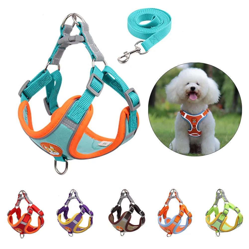 Small dog harness & leash set – alternate view