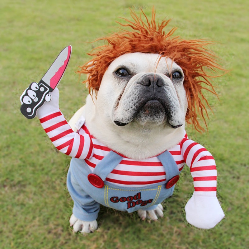 Adjustable dog costume, Halloween cosplay – alternate view