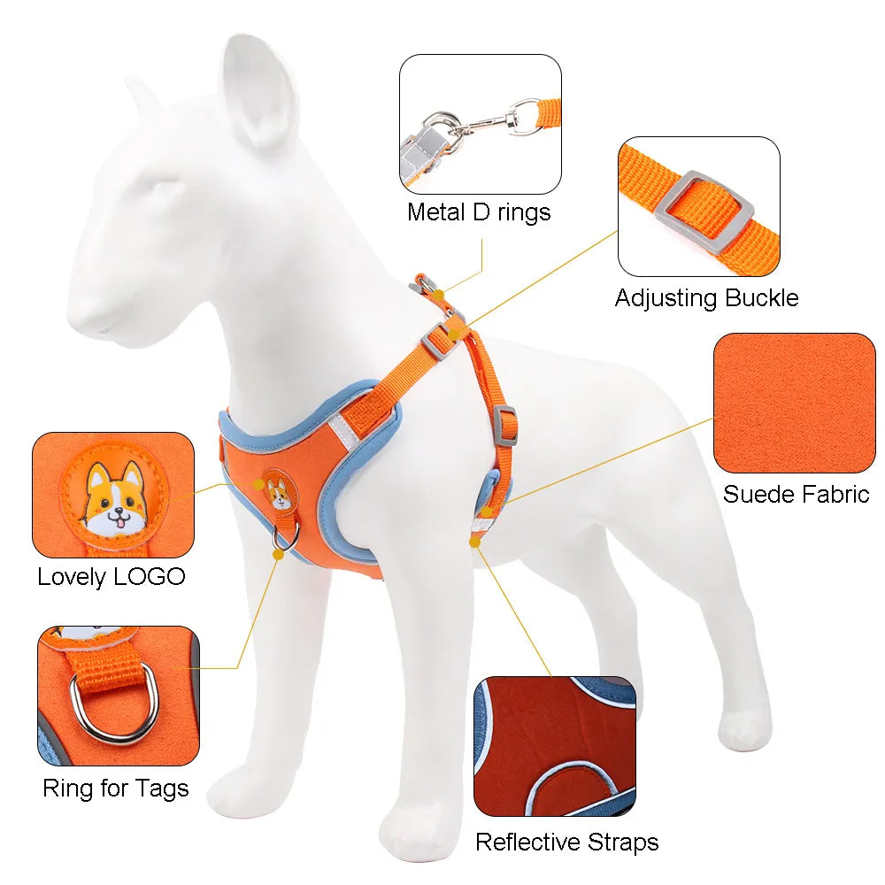 Small dog harness & leash set – alternate view