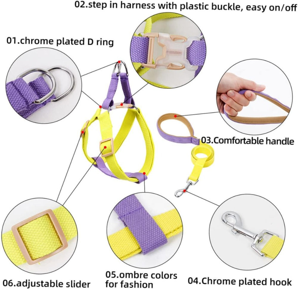 No-pull harness & leash set, small dogs – alternate view