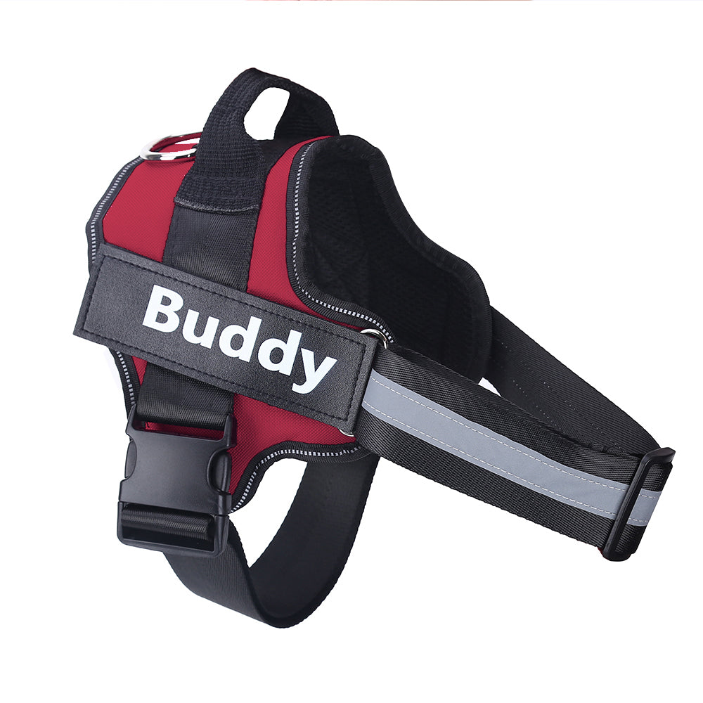 Personalized no-pull dog harness, custom patch – alternate view