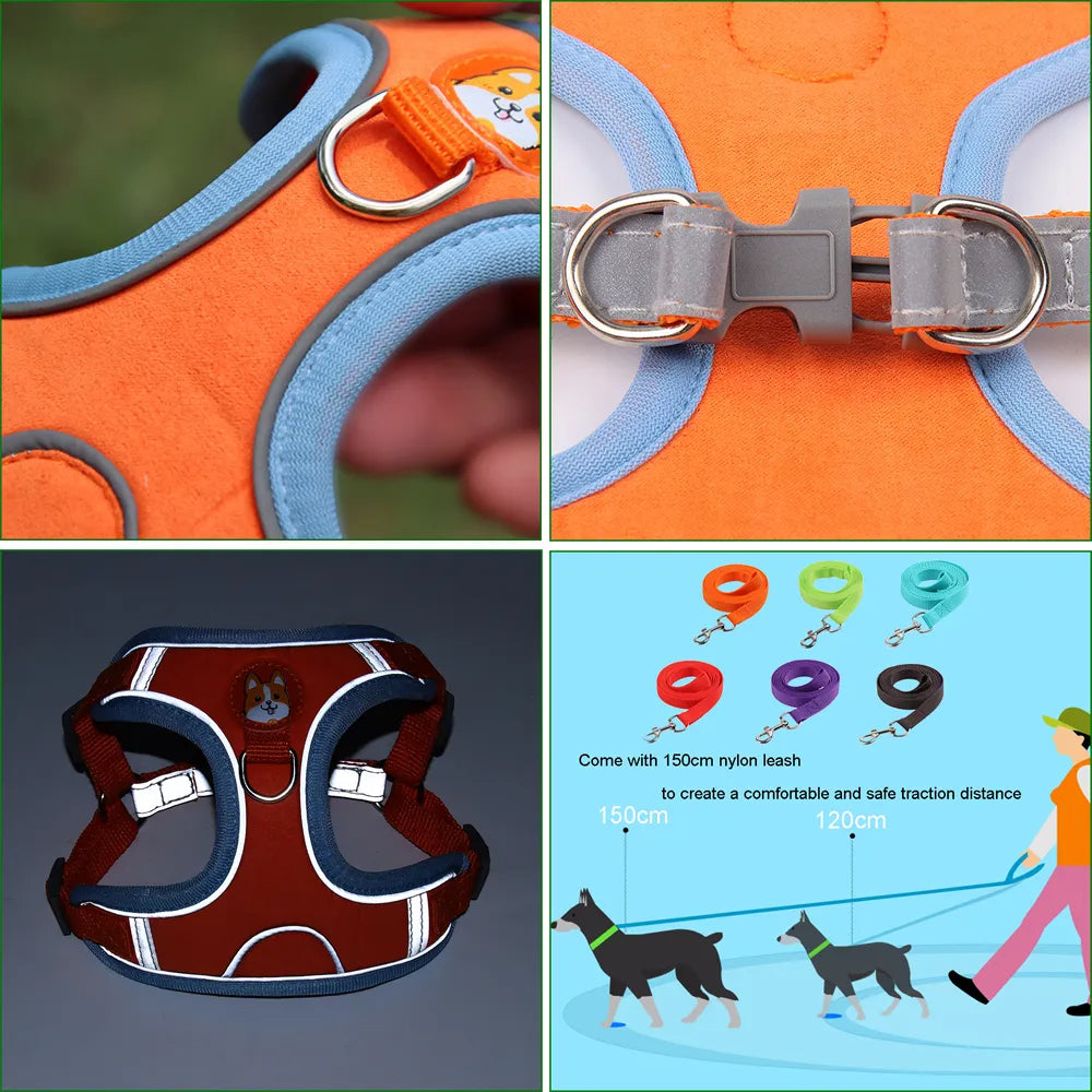 Small dog harness & leash set – alternate view