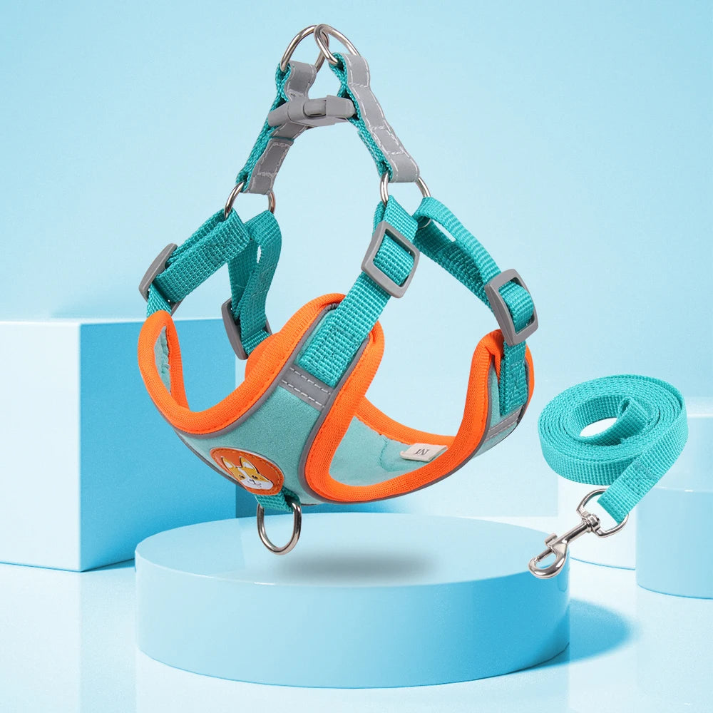 Small dog harness & leash set – alternate view