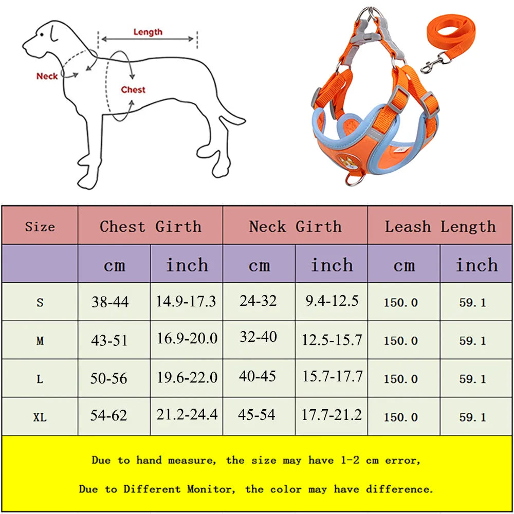 Small dog harness & leash set – alternate view