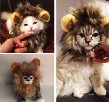 Lion mane costume hat, Halloween pet hat – alternate view