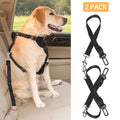 Pet seat belt leash 2-pack