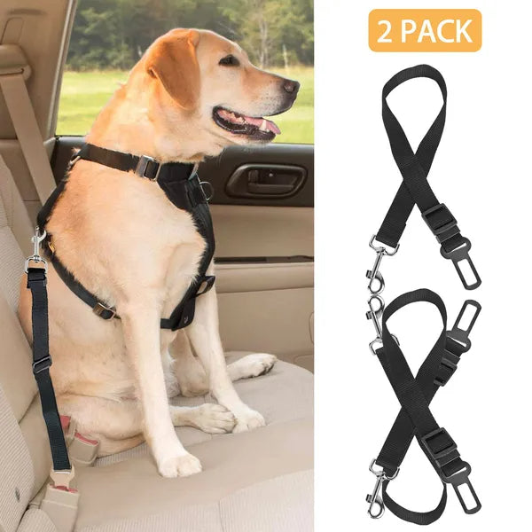 Pet seat belt leash 2-pack