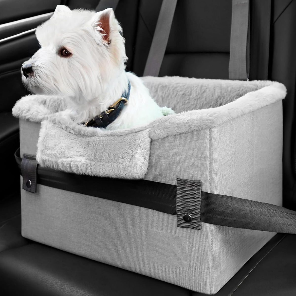 Portable dog booster car seat, clip-on leash
