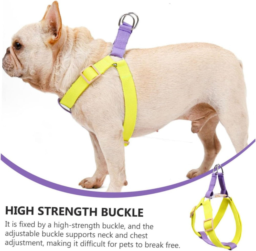 No-pull harness & leash set, small dogs – alternate view
