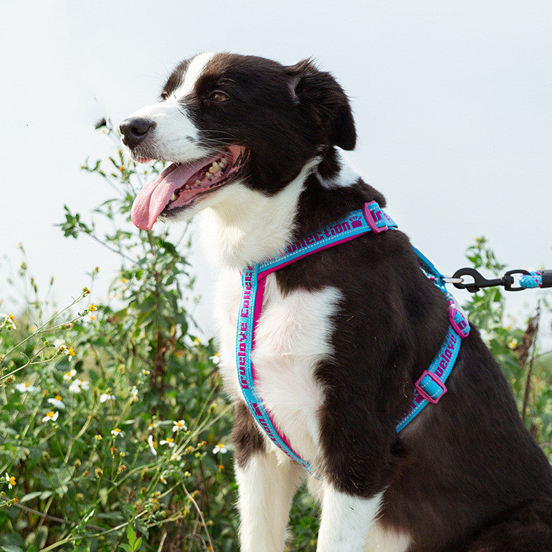 Neoprene padded dog harness, no-pull comfort