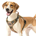 Tactical dog harness, no-pull vest for large dogs – alternate view