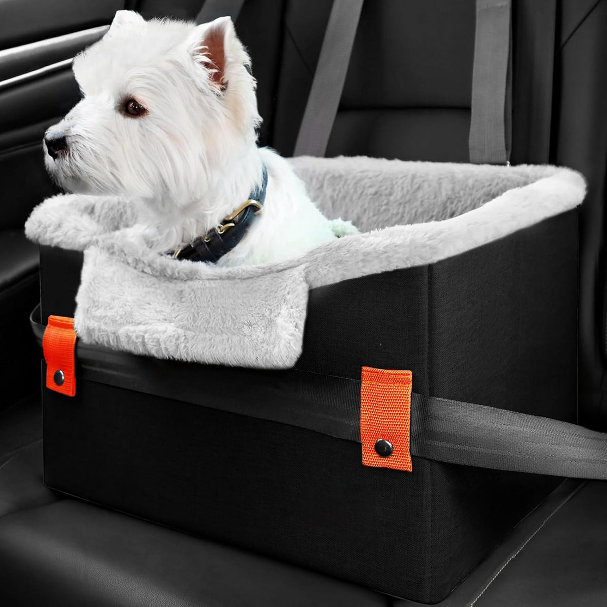 Portable dog booster car seat, clip-on leash – alternate view
