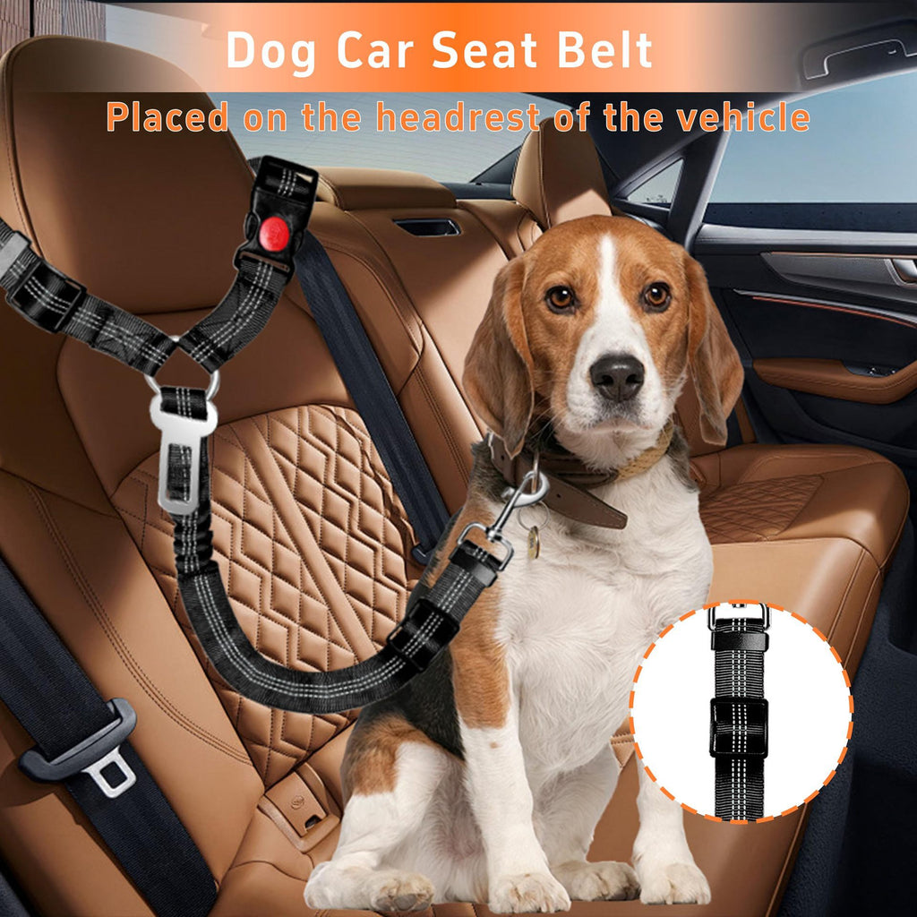 Retractable dog car seat belt 3-pack – alternate view