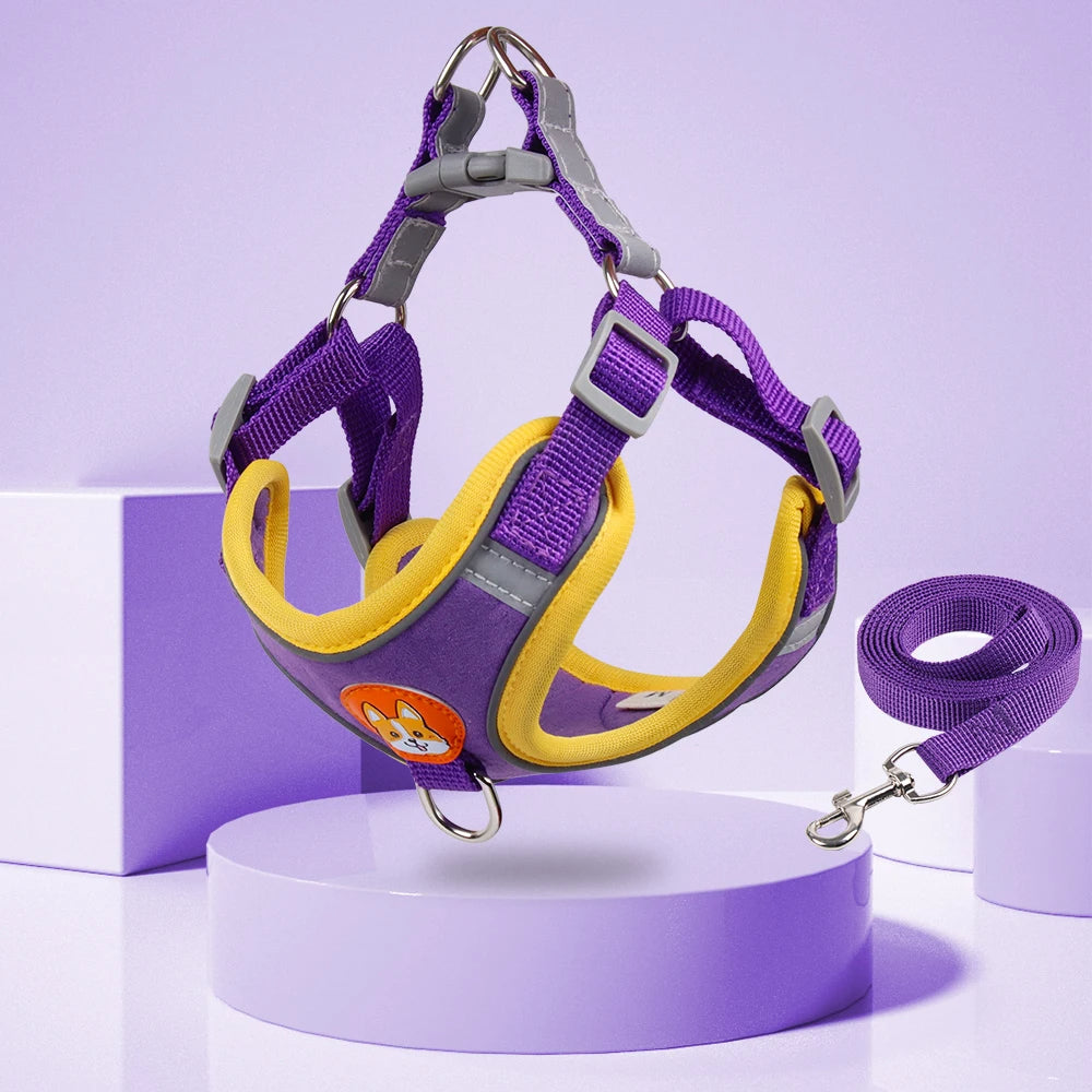 Small dog harness & leash set – alternate view