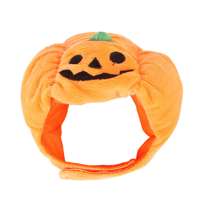 Pumpkin hat for pets, Halloween costume – alternate view