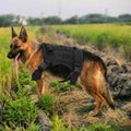 No-pull dog harness, padded vest for large dogs