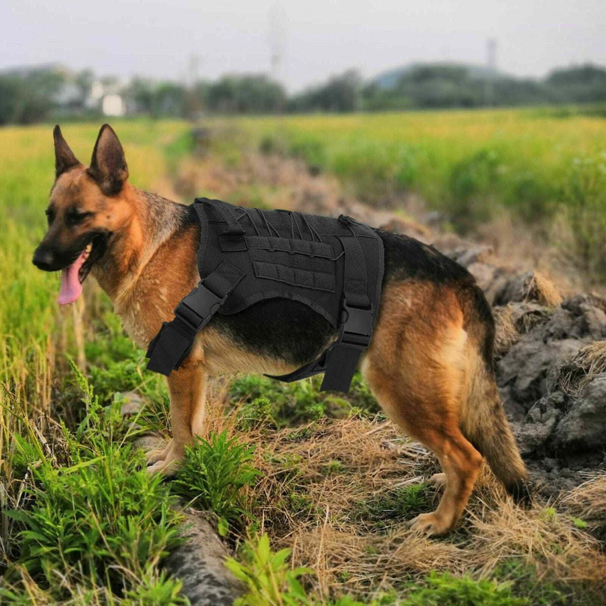 No-pull dog harness, padded vest for large dogs