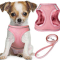 No-pull puppy harness & leash set, reflective mesh