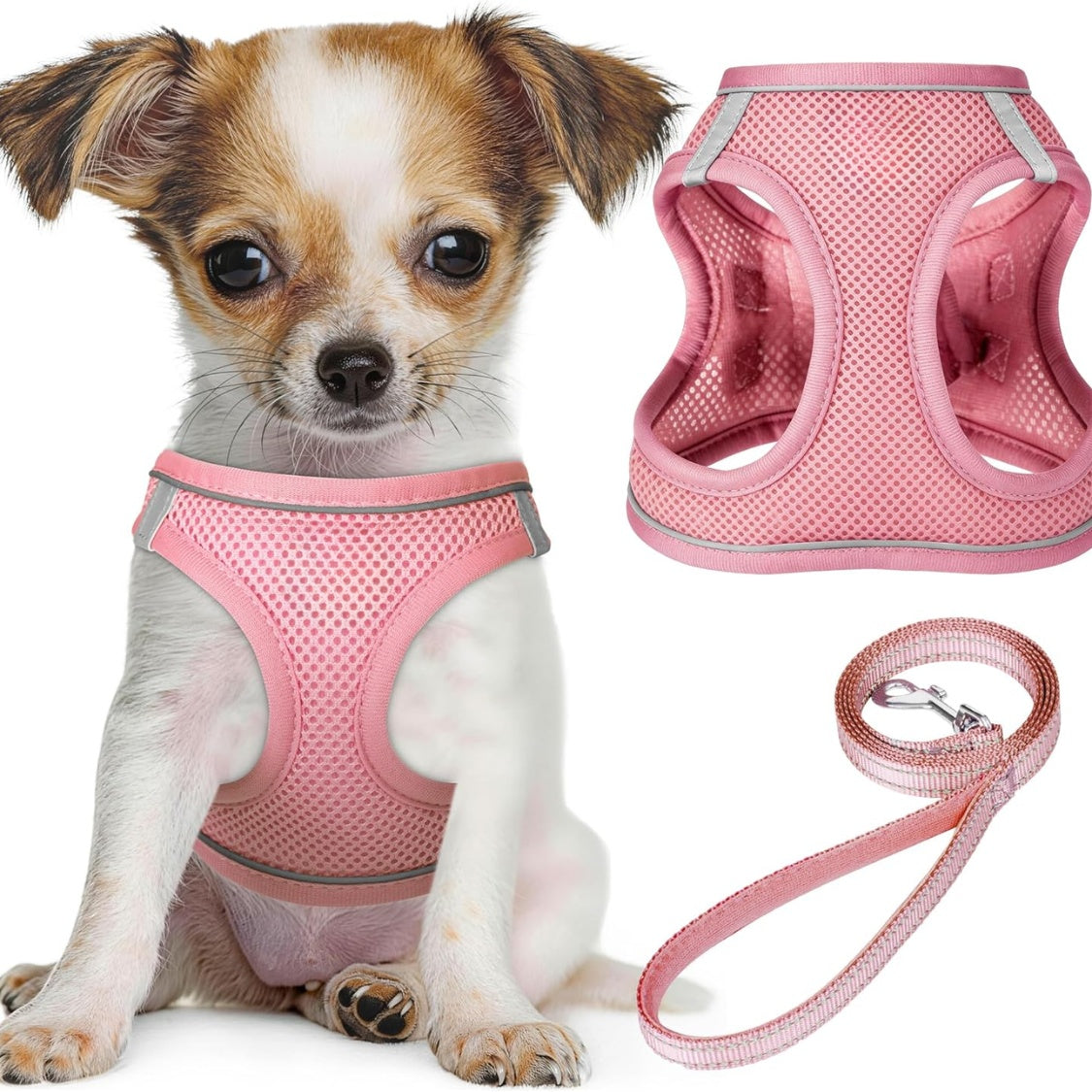 No-pull puppy harness & leash set, reflective mesh