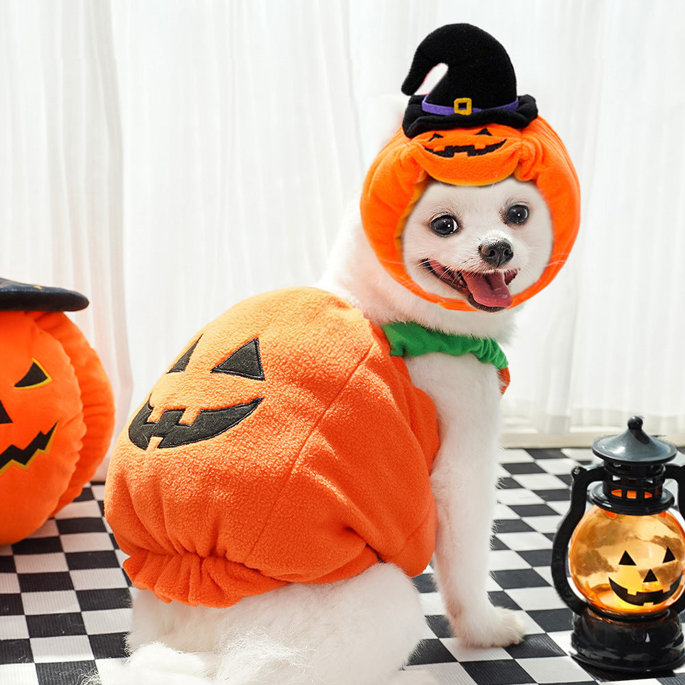 Pumpkin vest harness, pet Halloween costume – alternate view