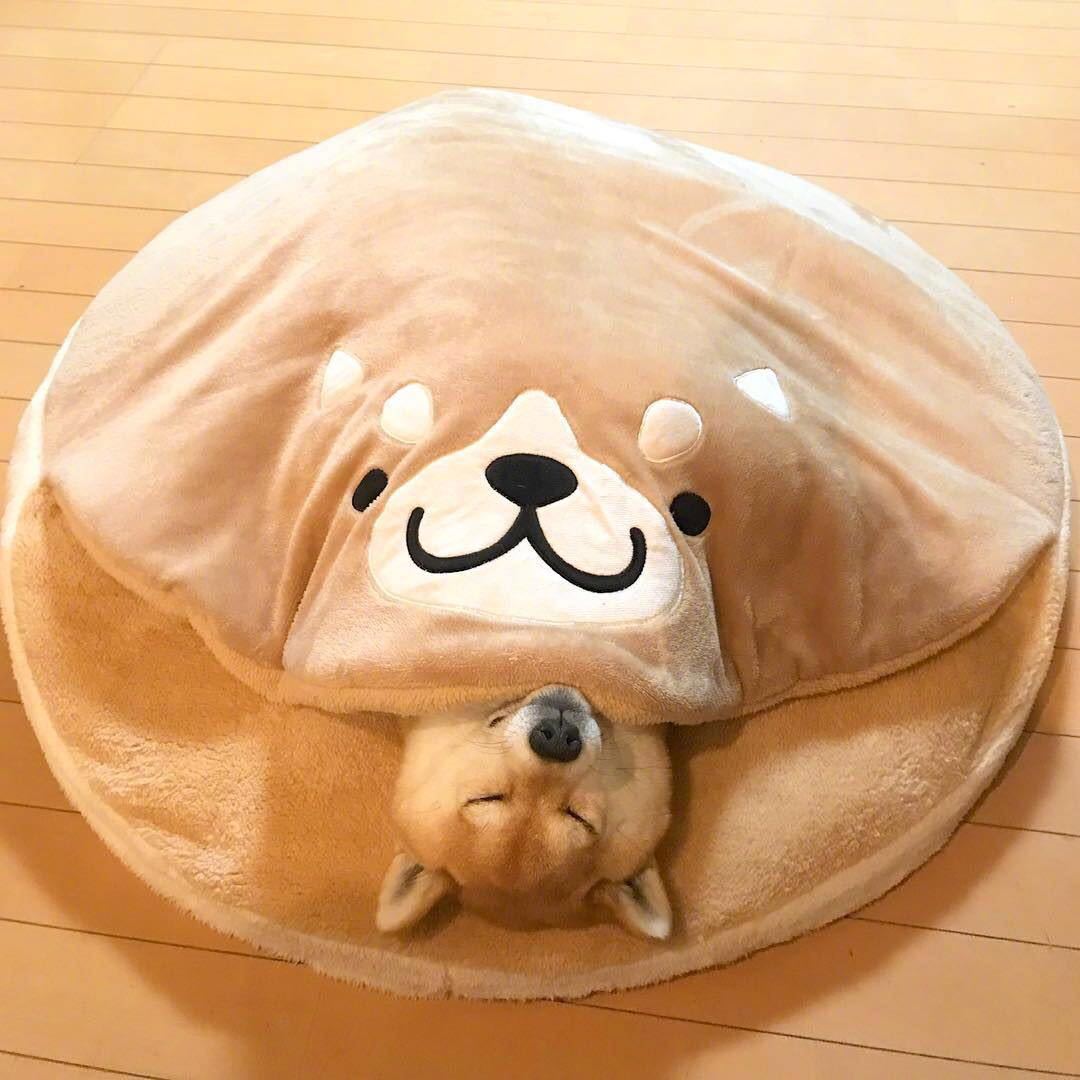 Round plush pet mat, cozy cat & dog nap spot
