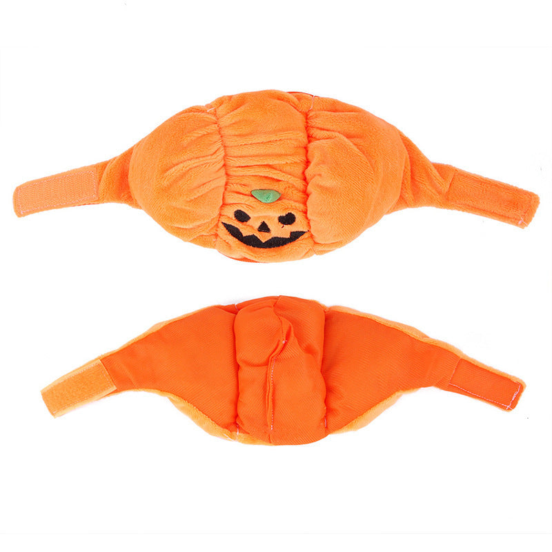 Pumpkin hat for pets, Halloween costume – alternate view