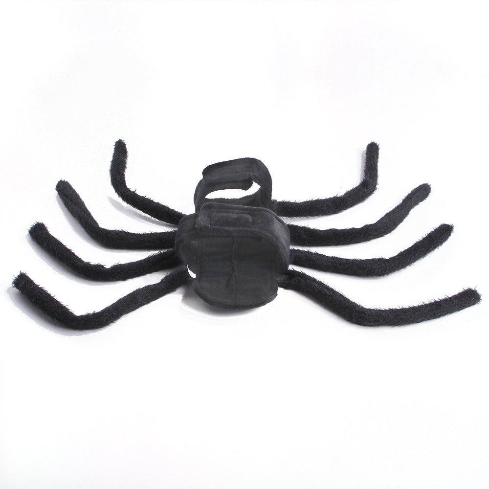 Spider costume for pets, Halloween cosplay – alternate view