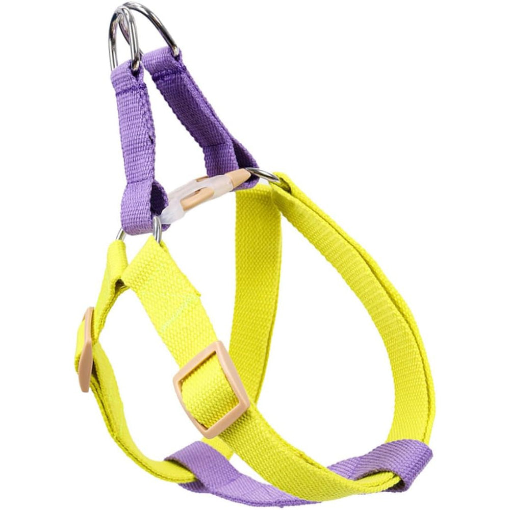 No-pull harness & leash set, small dogs