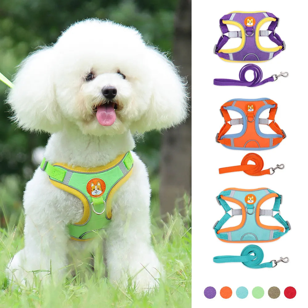 Small dog harness & leash set