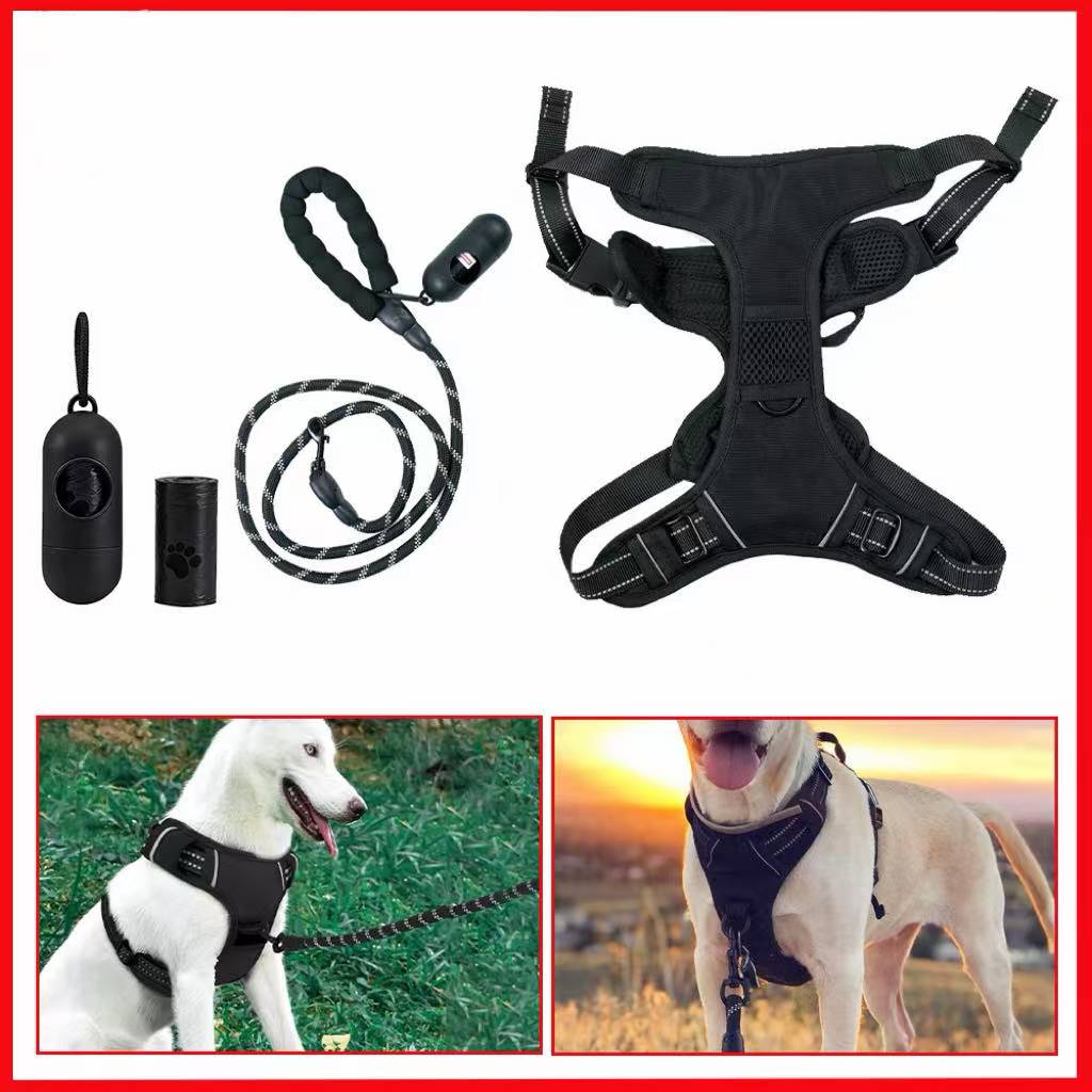 No-pull dog harness, poop bag dispenser set – alternate view
