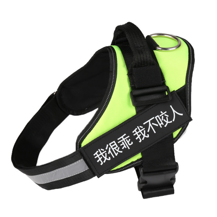 Personalized dog harness, no-pull, custom patch – alternate view