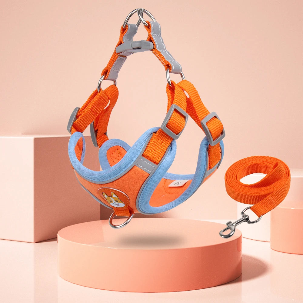 Small dog harness & leash set – alternate view