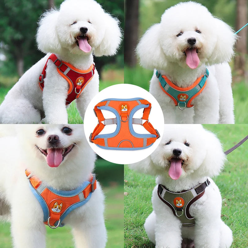 Small dog harness & leash set – alternate view