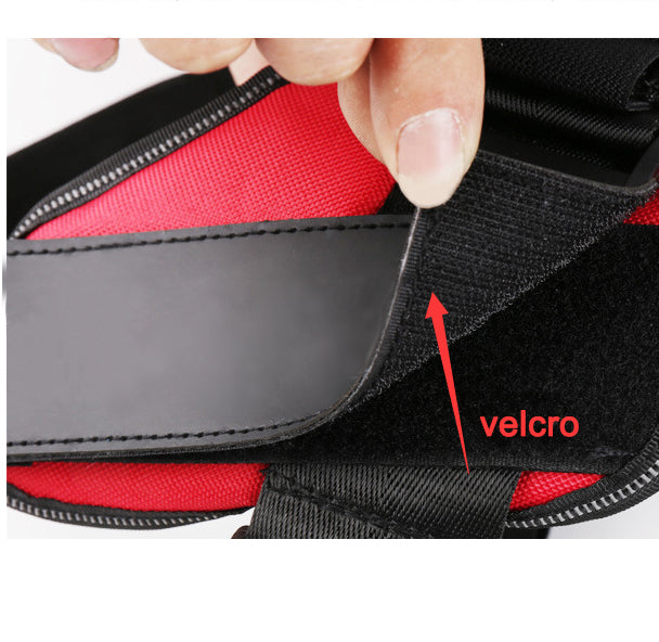 Custom personalized dog harness, no-pull patch – alternate view