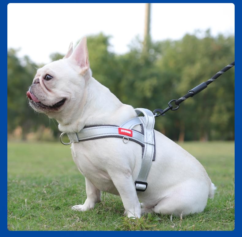 No-pull dog harness, 3-clip control – alternate view