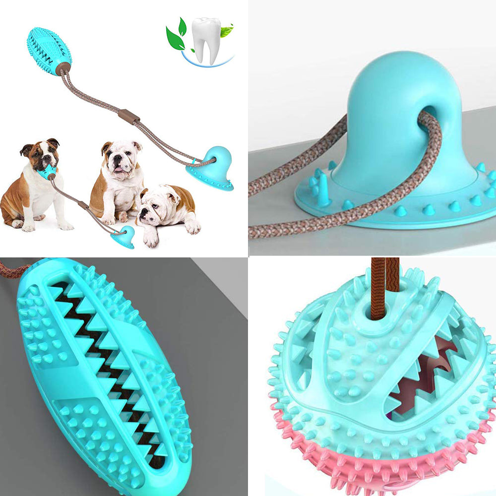 Suction cup tug toy, chew & dental care toy – alternate view