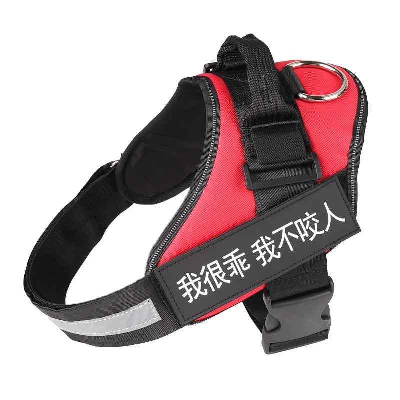 Personalized dog harness, no-pull, custom patch – alternate view