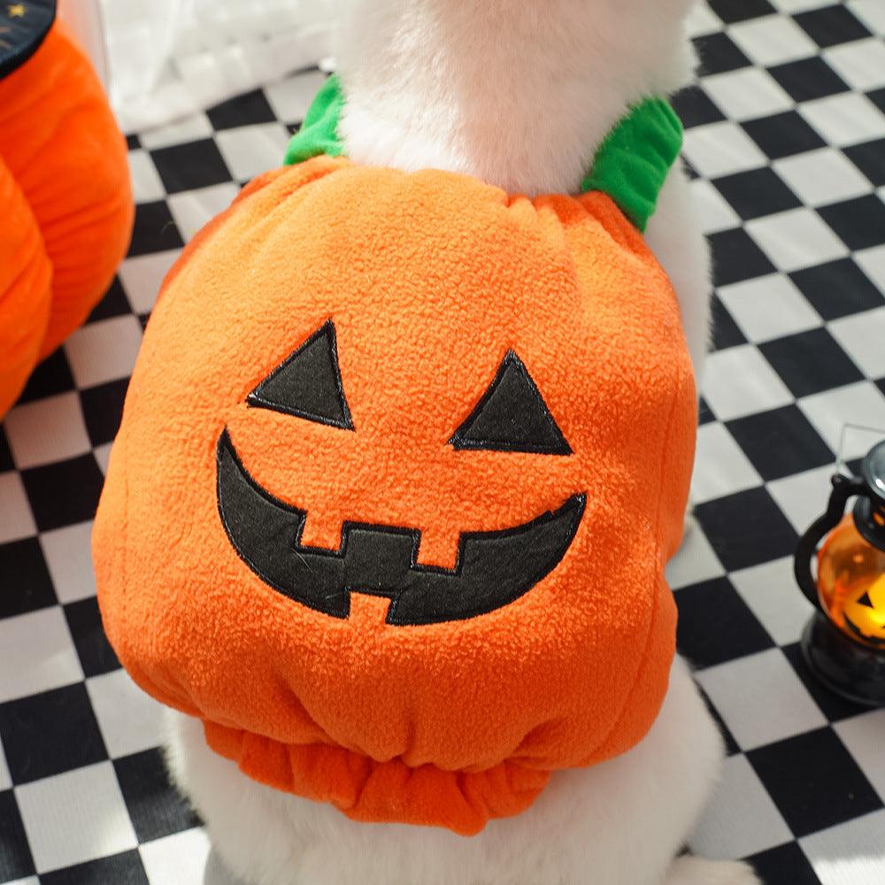 Pumpkin vest harness, pet Halloween costume – alternate view
