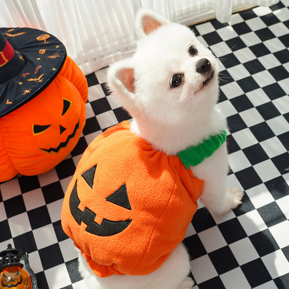 Pumpkin vest harness, pet Halloween costume – alternate view
