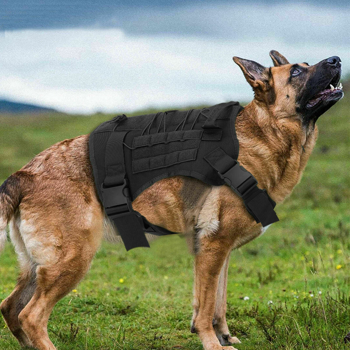 No-pull dog harness, padded vest for large dogs – alternate view