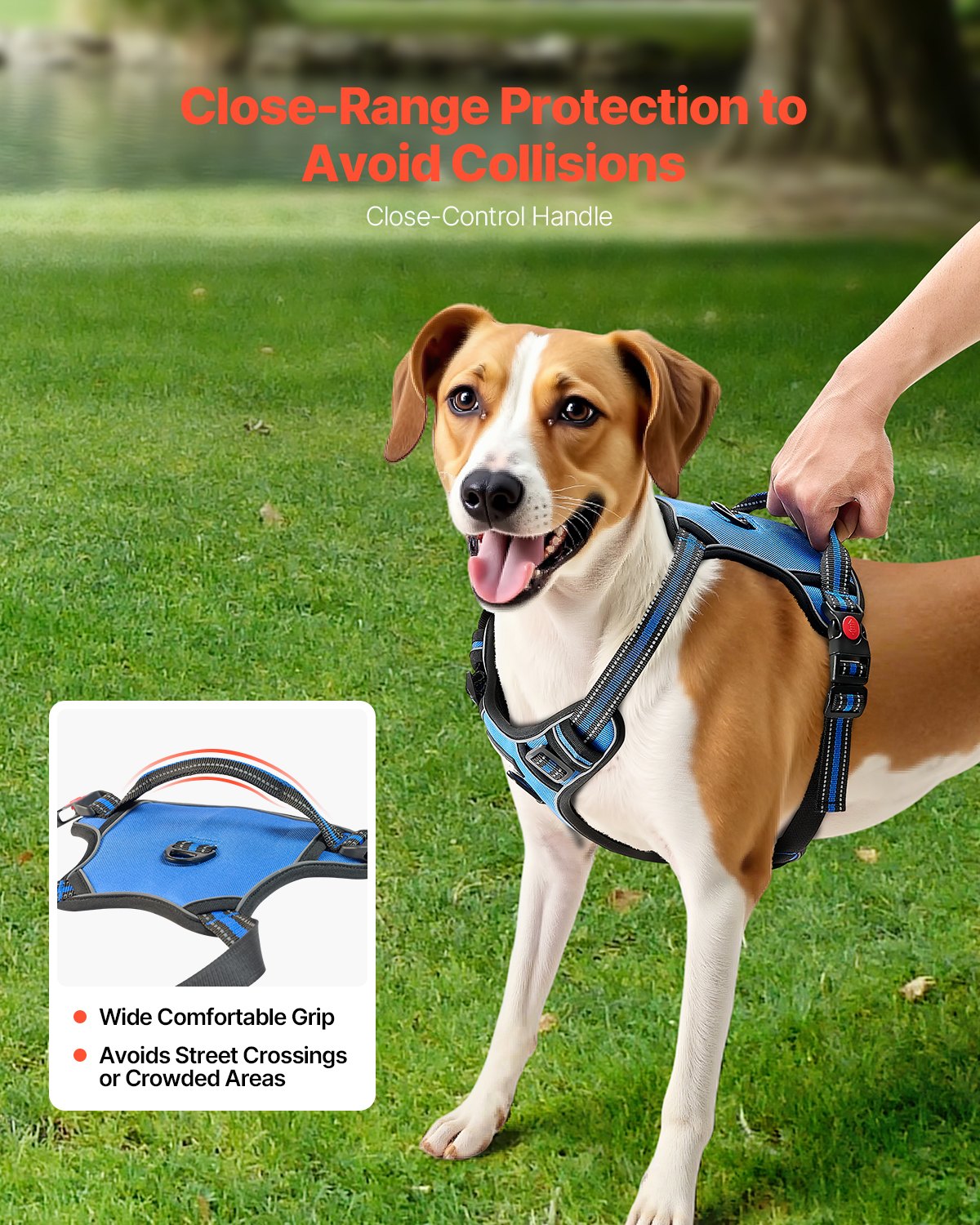 Large dog harness, with 5ft leash – alternate view