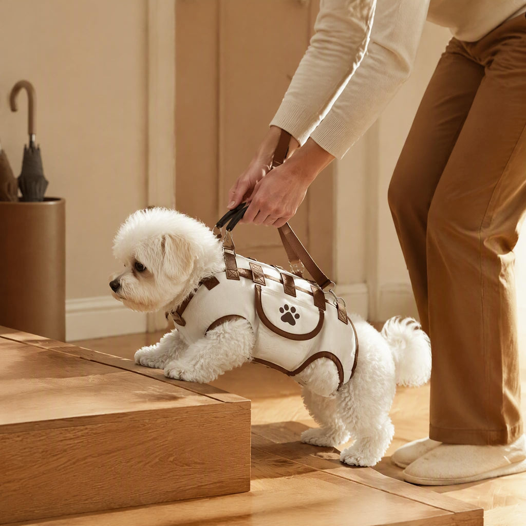 Hands-free dog carrier bag, purse & leash – alternate view