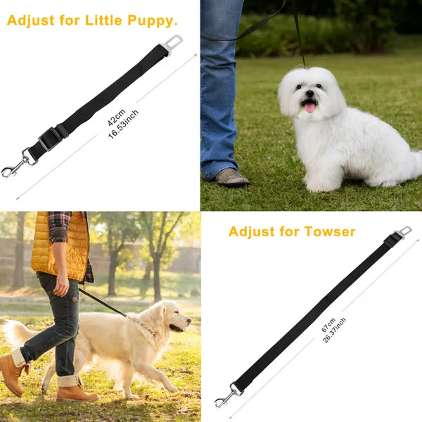 Pet seat belt leash 2-pack – alternate view
