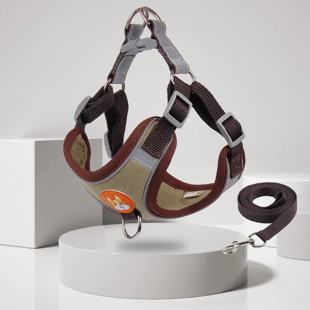 Small dog harness & leash set – alternate view