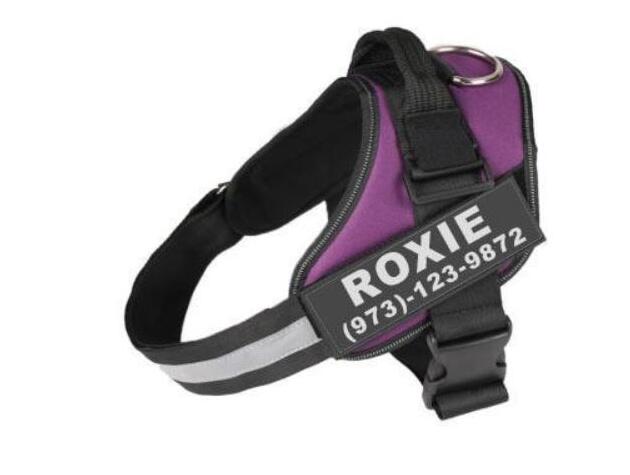 Personalized dog harness, no-pull, custom patch – alternate view