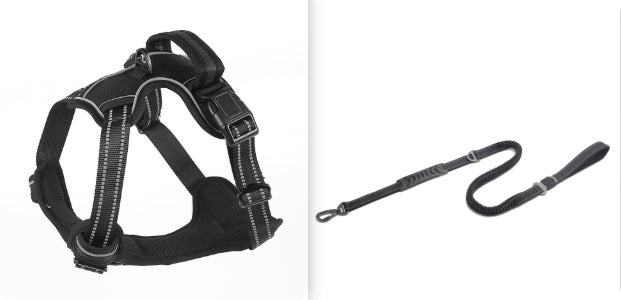 No-pull dog harness, breathable reflective vest – alternate view