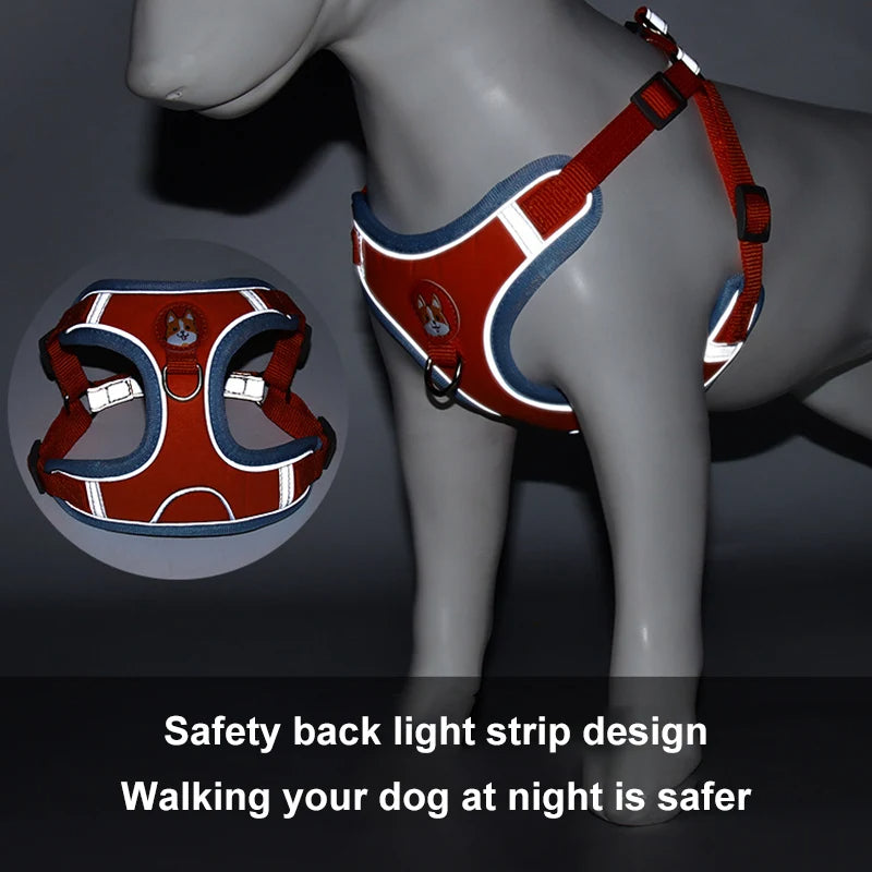 Small dog harness & leash set – alternate view